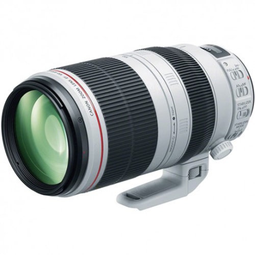 Canon EF 100-400mm f/4.5-5.6L