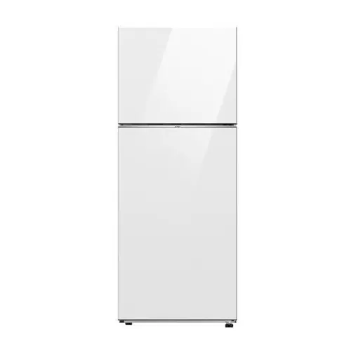 Samsung RT42CB662112 Refrigerator