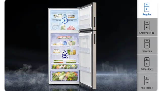 africa_en-feature--nbsp-544449880 Samsung RT53DG7B60SL Refrigerator