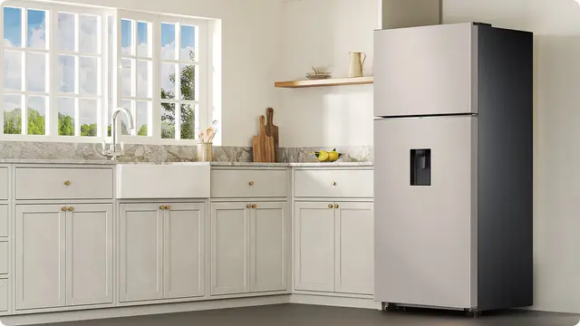 africa_en-feature-stylishly-minimalist-544449882 Samsung RT53DG7B60SL Refrigerator